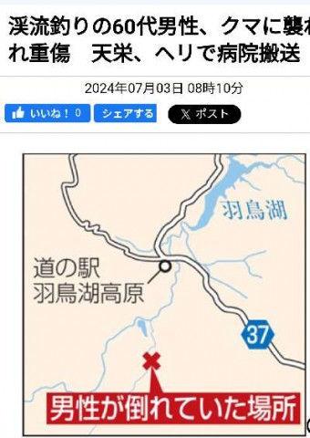 kw25risjjhkg46s63yzp_480_480-87219f25.jpg