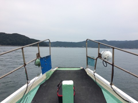 kw676xjjgjsdg57fhkek_920_690-925d0b30.jpg
