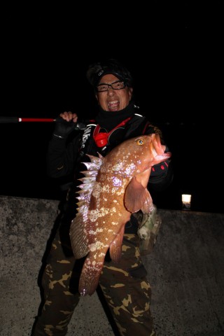 kwcptt98oinejptwb5sv_480_480-99379843.jpg