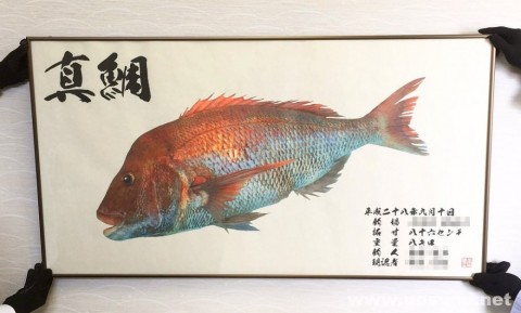 kwfujipm4dkxkhbwtjpi_480_480-8c4102ba.jpg