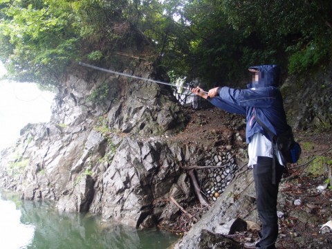 kwgmncm8wet6xzohop44_480_480-885e3887.jpg