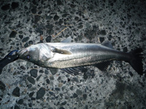 kwgpur5yovgwb7fo572u_920_690-2b58e561.jpg
