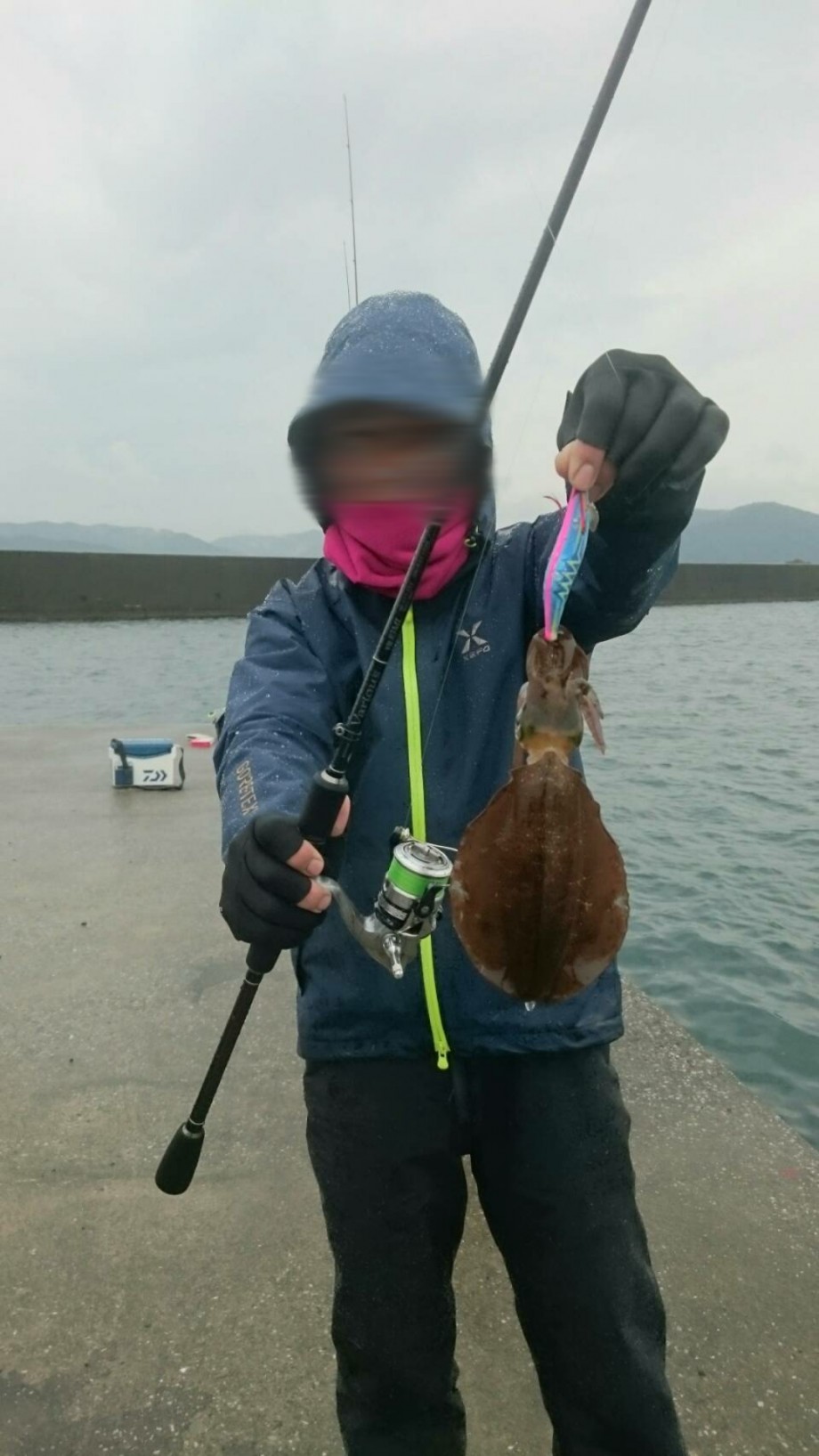 夢みる週末アングラー 貧乏だけどがんばるブログ 三重県 大雨 エギング