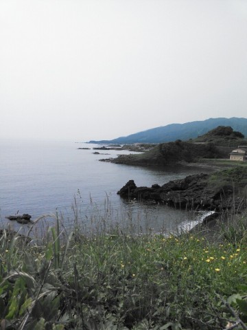 kwv4wxf4jau9y86aotds_690_920-c5536890.jpg