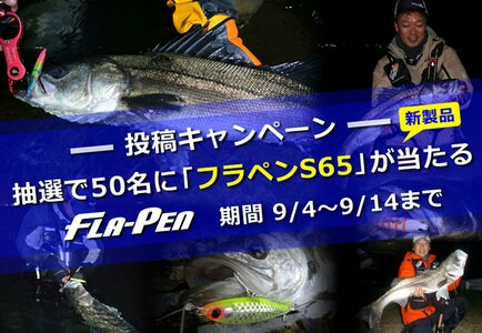 kx279j84jkzpi24frpf5_434_300-3cfe1709.jpg