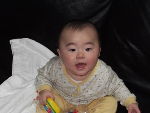 kxpxsson6jvfgufwemj8_480_480-1c9c8f75.jpg