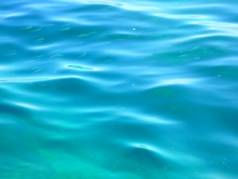 kxw7g9h8jyuty85u5388_480_480-3728e723.jpg