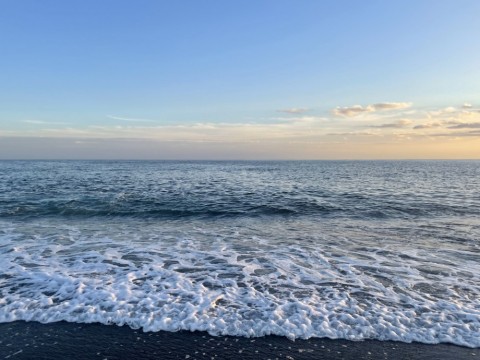 kxzh2m7njsxdfau2jrjw_480_480-63011b30.jpg