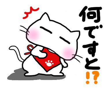ky3sft3sfzg3mnwes3gf-fcb8564d.jpg