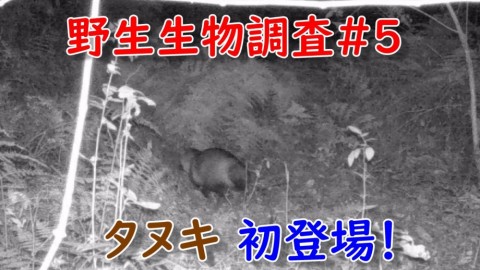 kygrcnhcwy66pr98hc6o_480_480-ca60d646.jpg