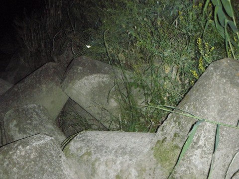 kyjoo4ff392w3z7hw478_480_480-4a888af4.jpg