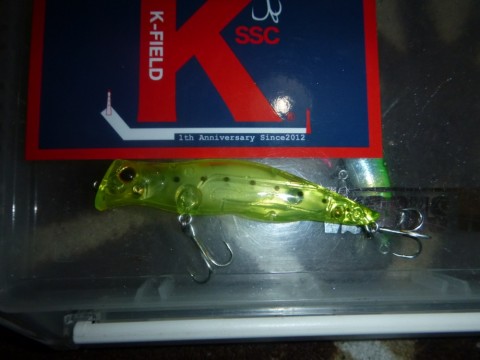 kyowb4o6fkw5ccxk2jxf_920_690-b4341ef1.jpg
