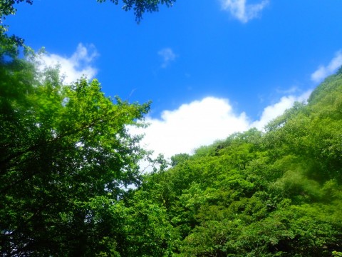 kyoxyaihx5bi5pzfdt7u_480_480-3f46382f.jpg