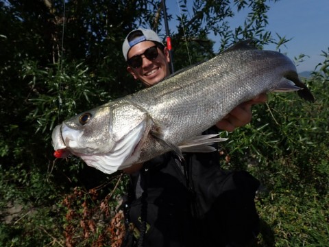 kywwgcjht36gopu9pppm_480_480-e4919ed6.jpg