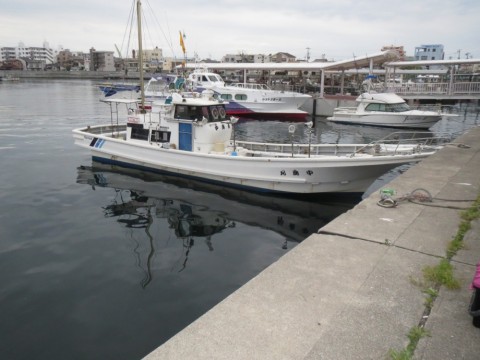 kzeuksvakcugeh464ysb_480_480-a0f6382f.jpg