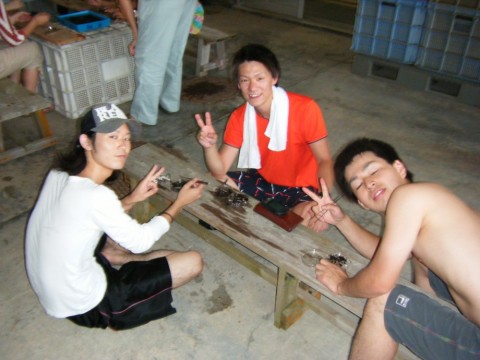 kzfbijavbwxtgzd33pzo_480_480-b38a0fdc.jpg