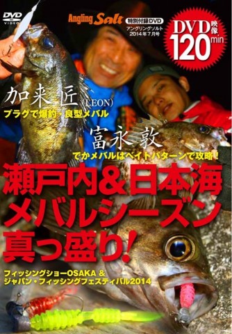 kzhrfb2n6jcumo6ws6kg_640_920-161f9f75.jpg