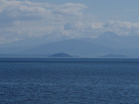 kzidgohkbnj7yvhdjxx3_480_480-099697b7.jpg