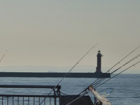 kzj3tudeekpyzrfeh99h_920_690-e204a9ce.jpg