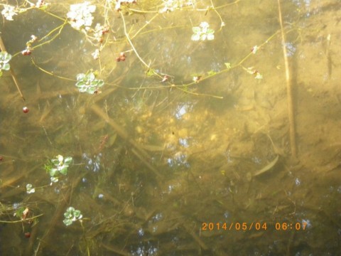 kzs42gjwv98tkm4wgvta_480_480-2b07f339.jpg