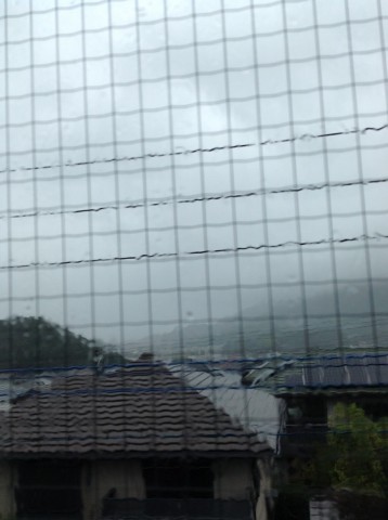 kzuhwddgneucwuryk93p_480_480-7a8da900.jpg