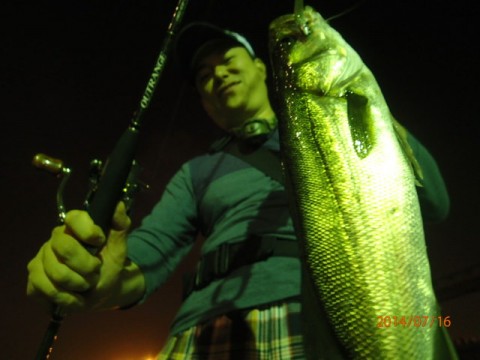 m2v4h62pxz2rey5z363m_480_480-6553293f.jpg