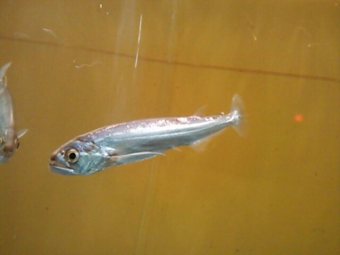 m2x7adgkejk96p2nbhi5_640_480-764bab49.jpg