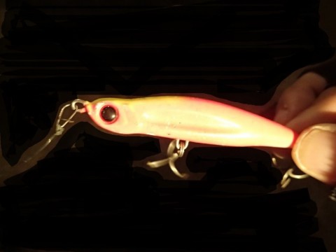 m322gocb9eb3i2vx56o2_480_480-004f59c7.jpg
