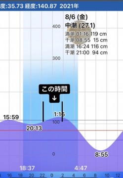 m32ffotdhsxymz44x93f_332_480-712b7e00.jpg