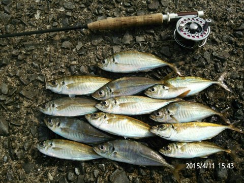 m39d5fencmyx9xtsnvp9_920_690-6ce73f31.jpg