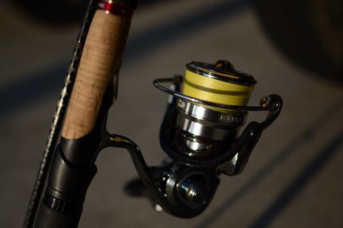 m3ibu24yu54c6zag6oc8_480_320-10de7285.jpg