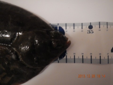 m42hk9h388iomfxyhsw7_480_480-bdc0d99b.jpg