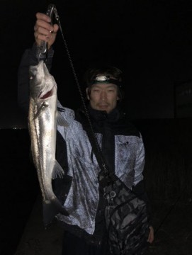 m4b8nae3a9x58jwajynh_361_480-15d3390f.jpg