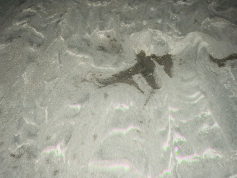 m5jctikvuzysgjabnot5_480_480-2d369b37.jpg