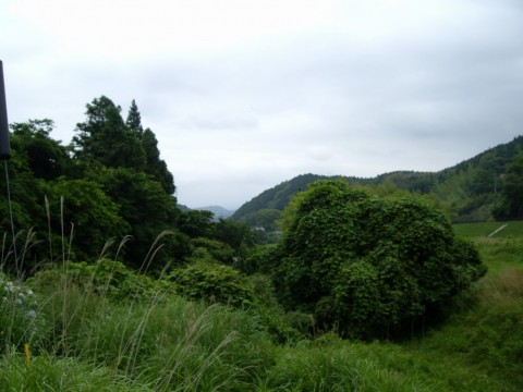 m5jpcertyh9bk97ax6ma_480_480-0861d08c.jpg