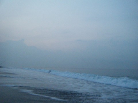 m5rmwr8fa4gzrjf7htf7_480_480-41e2e70c.jpg