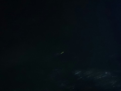 m65vp6262bormt8y5nha_920_690-3e4b2083.jpg