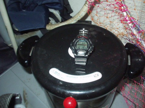 m69h3mrkz5xho84kshf5_480_480-cf49008b.jpg