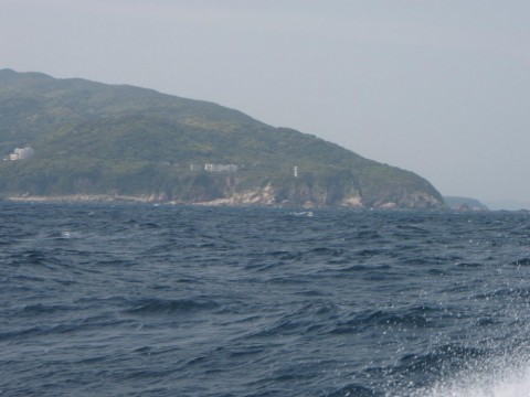 m6fmw79s9d3arx7jid3i_480_480-c51e09c7.jpg