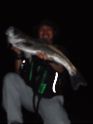 m6fwk9s33ppfzdw6d29z_692_921-706edbc5.jpg