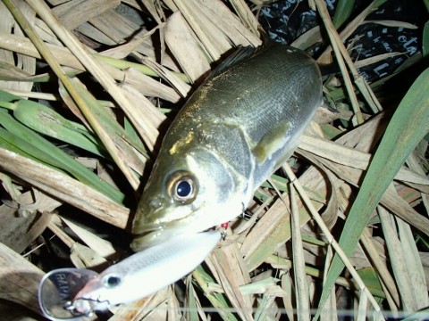m6hctac3mrnfrnrus7o2_920_690-a2db089b.jpg