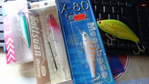 m6pdvit7oriwdnd3o7cm_480_480-03b80d0d.jpg