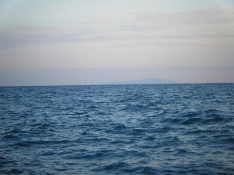 m6to8jiix2brr9ooz27f_480_480-b2ca3171.jpg