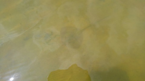 m6u6ba8rjyvraj84fb4w_920_518-5f9e88d4.jpg