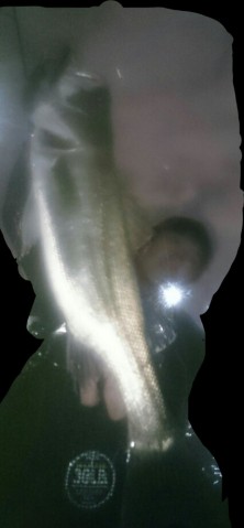 m6x3nvv5yhzy4vun3ar6_426_920-661276aa.jpg