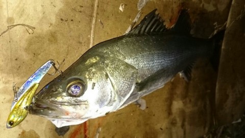 m6xnygwzfd44fhiite3a_920_518-66c9af05.jpg