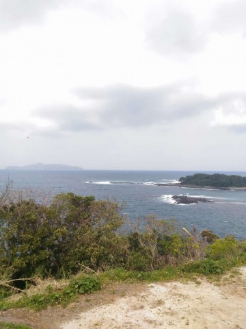 m7mwnuri8o9hcy84c4ci_480_480-bf10f2f0.jpg