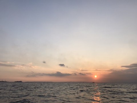 m7ryogpjc6y2yb47e93o_480_361-7b77f66c.jpg