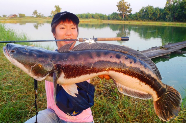 Chill Fishing 低空飛行で釣ったらコンニチハ Chill Fishing 低空飛行で釣ったらコンニチハ