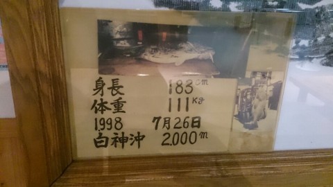 m8gyyrng52c4se7uja58_920_517-5ae4d315.jpg